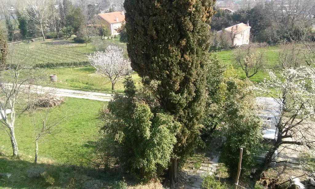 Agriturismo Bosco Fiorito Villa Múggia Exterior foto